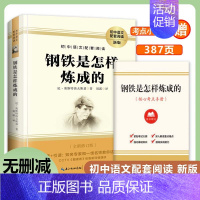 七年级下必读]钢铁是怎样炼成的 [正版]七年级上下册必读书原著西游记+朝花夕拾鲁迅骆驼祥子海底两万里完整版初中生课外书