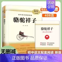 七年级下必读]骆驼祥子 [正版]七年级上下册必读书原著西游记+朝花夕拾鲁迅骆驼祥子海底两万里完整版初中生课外书 初一7年