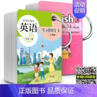 英语生词图片卡 一年级上下册[新版] 小学通用 [正版]牛津英语生词图片卡学生用 一年级二三四五年级上册下册12345第