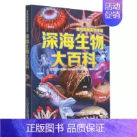 深海生物大百科 [正版]危险揭秘百科图鉴全4册危险生物 深海生物 恐怖昆虫 珍稀鱼类动物世界大百科全书少儿百科普海底恐龙