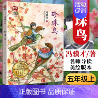 [正版]珍珠鸟书 冯骥才 名师导读美绘版本五年级上册阅读 珍珠鸟冯骥才著 小学生课外书阅读阅读书籍 语文版语文版课文人教