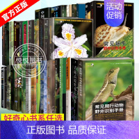 ☆中国科学院西双版纳热带植物园导赏图鉴(精) [正版]科普书籍好奇心书系野外识别手册常见爬行动物兜锹花臂蜚蠊蜘蛛蘑菇蜗牛