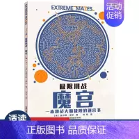 [开发大脑 激发潜力]魔宫-1(超大开本) [正版] 极限挑战魔线 8岁儿童脑力记忆力培养左右脑开发智力找不同走迷宫