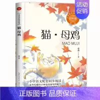 猫母鸡 [正版]袁珂中国神话故事集四年级课外书上册非注音版三四五六年级小学生课外阅读书籍6-12岁青少版故事书书快乐读书