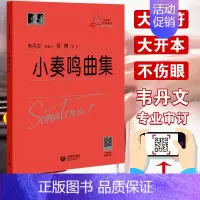 [正版] 新版小奏鸣曲集 韦丹文大符头版 上海教育出版红皮书钢琴曲集新手小白零基础入门学字版大音符 讲解教学版书籍