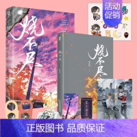 [正版]烧不尽 回南雀 著 新增出版番外 双向温暖 飞鸥不下 青梅屿 作者 青春文学实体小说书籍 新视角图书