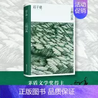 [正版]云烟过客 迟子建散文自选集 名家经典文学作品选集 中国近代随笔 迟子建散文集 以人物为写作核心 新视角图书