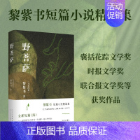 [正版]野菩萨 黎紫书短篇小说精选集 特别收入全新短篇《海》暂停键 流俗地 告别的年代作者 现当代文学散文随笔书籍排