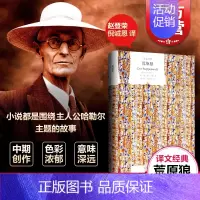 [正版] 荒原狼 赫尔曼黑塞著精装版德米安彷徨少年时同作外国小说文学作品集书籍世界经典名著 上海译文出版社