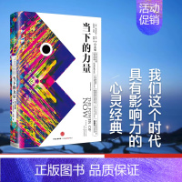 当下的力量(白金版) [正版] 当下的力量(白金版) 精装 埃克哈特·托利 著 身心灵 张德芬作序 出版社图书 自