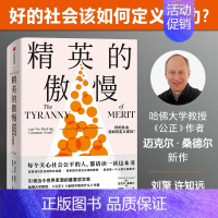 [正版][罗翔]精英的傲慢 好的社会该如何定义成功 迈克尔桑德尔著 遇见中国 公正 金钱不能买什么作者 美国梦的破碎
