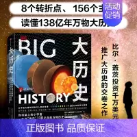 [正版] DK大历史 从宇宙大爆炸到我们人类的未来 大卫克里斯蒂安著 千幅信息图的视觉盛宴 一本书看见138亿年万物史