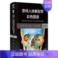 [正版]奈特人体解剖学图谱 第8版彩色神经系统肌肉骨骼生理学基础肌动学尸变图鉴列车格氏结构和功能八版正常2023法医版解