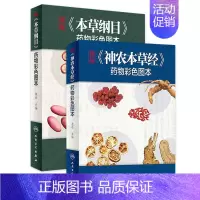 [正版]本草纲目 神农本草经药物彩色图快速识别图本原版全套李时珍中草药彩图大全书人民卫生出版社中药书籍大全