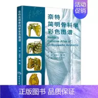 [正版]奈特简明骨科学彩色图谱