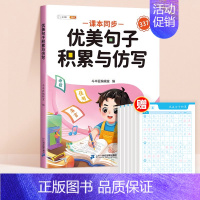 [同步课文]优美句子积累与仿写 小学四年级 [正版]优美句子积累大全小学生句子仿写一二年级三四五六年级337晨读美文语文