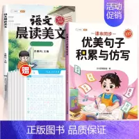 [强化记忆]优美句子+晨读美文(下册) 小学一年级 [正版]优美句子积累大全小学生句子仿写一二年级三四五六年级337晨读