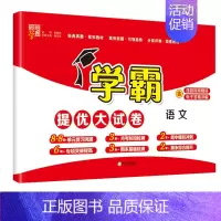 语文(人教版) 一年级上 [正版]2024秋新版小学学霸提优大试卷一年级二年级三四五六年级上下册语文人教数学苏教英语译林