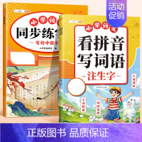 [2本]同步字帖+看拼音写词语 五年级下 [正版]2024新版一年级二年级上册语文同步练字帖三四五六年级二类字帖练字人教