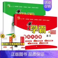 [2本]语文+数学(人教版) 二年级上 [正版]2024秋新版小学学霸提优大试卷一年级二年级三四五六年级上下册语文人