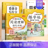 [语文专项套装]看拼音+练字帖+阅读理解+同步作文 五年级下 [正版]五年级下册阅读理解训练书每日一练小学生5年级语文课