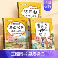 [3本]阅读理解+看拼音+练字帖 三年级上 [正版]三年级下册阅读理解训练题人教版小学3下语文课外阅读理解专项训练书同步
