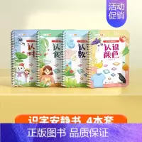 [4本套]认识时间+食物+数字+颜色 [正版]斗半匠识字早教安静书幼儿识字启蒙游戏书儿童象形看图识字卡片早教识字贴幼儿认
