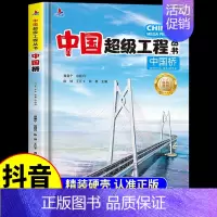 [单本]中国桥 [正版]抖音同款中国超级工程丛书全3册小学生航空航天高铁建筑科普类课外书籍 少儿科学绘本漫画书小学揭秘系