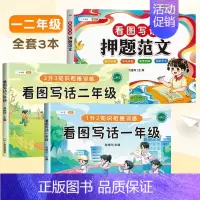 [升学衔接]押题范文+看图写话衔接训练 小学二年级 [正版]看图写话押题范文大全一年级二年级上下册专项训练 小学生幼小衔