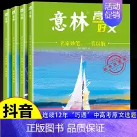[全4册 ]意林20周年纪念版 [正版]意林高票好文20周年纪念书全套4册意林中考作文2024初中生高中范文精选美文意林