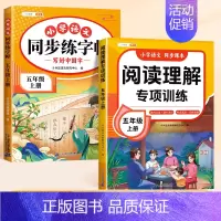[边学边练2本]阅读理解+练字帖 [正版]2024年新版五年级上册阅读理解专项训练书人教版小学5年级语文阅读理解公式法答