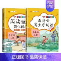 阅读理解+看拼音写词语 小学五年级 [正版]小学语文专线训练五年级上册下册语数同步训练人教版课外阅读理解训练题计算题口算