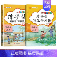 看拼音写词语+练字帖 小学五年级 [正版]小学语文专线训练五年级上册下册语数同步训练人教版课外阅读理解训练题计算题口算题