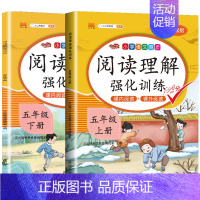 阅读理解上下册 小学五年级 [正版]小学语文专线训练五年级上册下册语数同步训练人教版课外阅读理解训练题计算题口算题卡应用