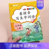 5年级上册看拼音写词语 小学五年级 [正版]小学语文专线训练五年级上册下册语数同步训练人教版课外阅读理解训练题计算题口算