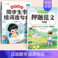 [范文+生字]押题范文+生字组词造句本 小学二年级 [正版]看图写话一二年级押题范文大全一年级二年级上册人教版作文素材积