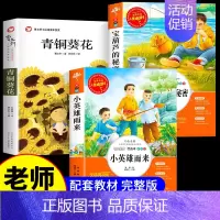 [四下3册]小英雄+青铜葵花+宝葫芦 [正版]小英雄雨来原著完整版管桦著四年级下册阅读课外书小学生三五六年级上册必读老师