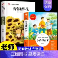[四下2册]青铜葵花+小英雄雨来 [正版]小英雄雨来原著完整版管桦著四年级下册阅读课外书小学生三五六年级上册必读老师经典
