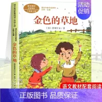 金色的草地 [正版]人教版三年级课外书阅读上册 胡萝卜先生的长胡子 在牛肚子里旅行 花的学校 金色的草地搭船的鸟总也倒不