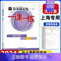 [高一上]化学 必修1 高中通用 [正版]2024华东师大版高中一课一练高一高二高三上下册必修第一二三册选修123数学英