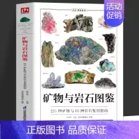 [正版]矿物与岩石图鉴 231种矿物与65种岩石鉴别指南 矿石风貌形成自然成因结构特征知识大百科 矿石收藏爱好者矿石鉴别