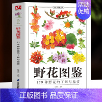 [正版]野花图鉴 179种野花的了解与鉴赏 野外常见花卉园林植物识别图鉴 植物图鉴百科全书 花卉养殖生长习性科普知识 野