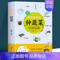 [正版]手把手教你种蔬菜 图说蔬菜栽培技术 蔬菜栽培种植技术大全书籍 种菜栽培实用手册 蔬菜种植技术室内室外的私家菜园