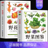 [正版]全2册野菜图鉴+野花图鉴常见花卉园林植物识别图鉴野外野菜识别速查图鉴植物特性药学图鉴植物花草识别图解食疗书籍