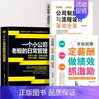 [正版]3册 一个小公司老板的日常管理+公司制度与流程设计落地全案+老板就要定薪酬做绩效抓激励书籍 创业经营百科团队薪酬