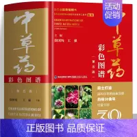 [正版]精装彩图版 中草药彩色图谱(第五版) 草药图鉴大全中医抓药草药方剂书籍 百草药书药材配方书 中医学验方药理学中