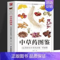 中草药图鉴 [正版]中草药图鉴 330种常见中草药识别一看就懂 中草药全图鉴彩图大全书 药用植物辨别图鉴食用宜忌 野外中