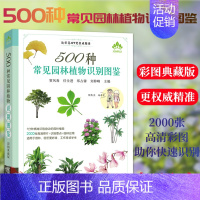 [正版]500种常见园林植物识别图鉴 彩图典藏版 贺风春常见园林花草树木植物野花野外识别与鉴赏手册速查图谱图鉴通俗易懂的