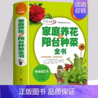 [正版] 家庭养花和阳台种菜全书 室内植图解养花种植观景植物盆栽栽培技术入门教程注意事项 花草植物图鉴大全新手家庭园艺入