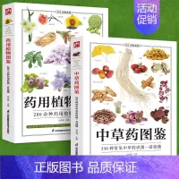 [正版]铜版纸全2册药用植物图鉴+中草药图鉴中草药野外识别图鉴中草药书入门医学书籍中医入门初学者常见中草药自学药学中药图
